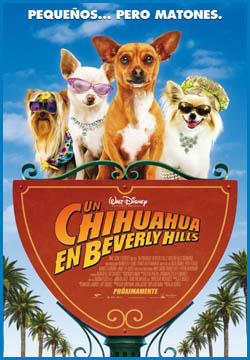 UN CHIHUAHUA EN BEVERLY HILLS